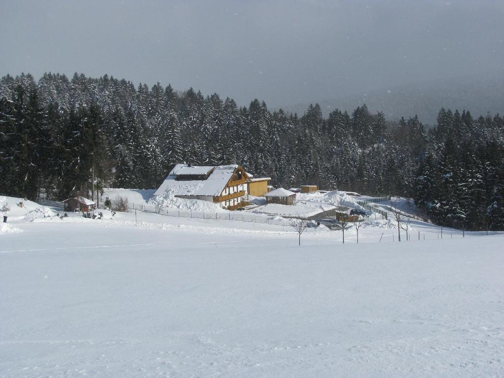 Ferienwohnung Klausgupf Neureichenau Exterior foto