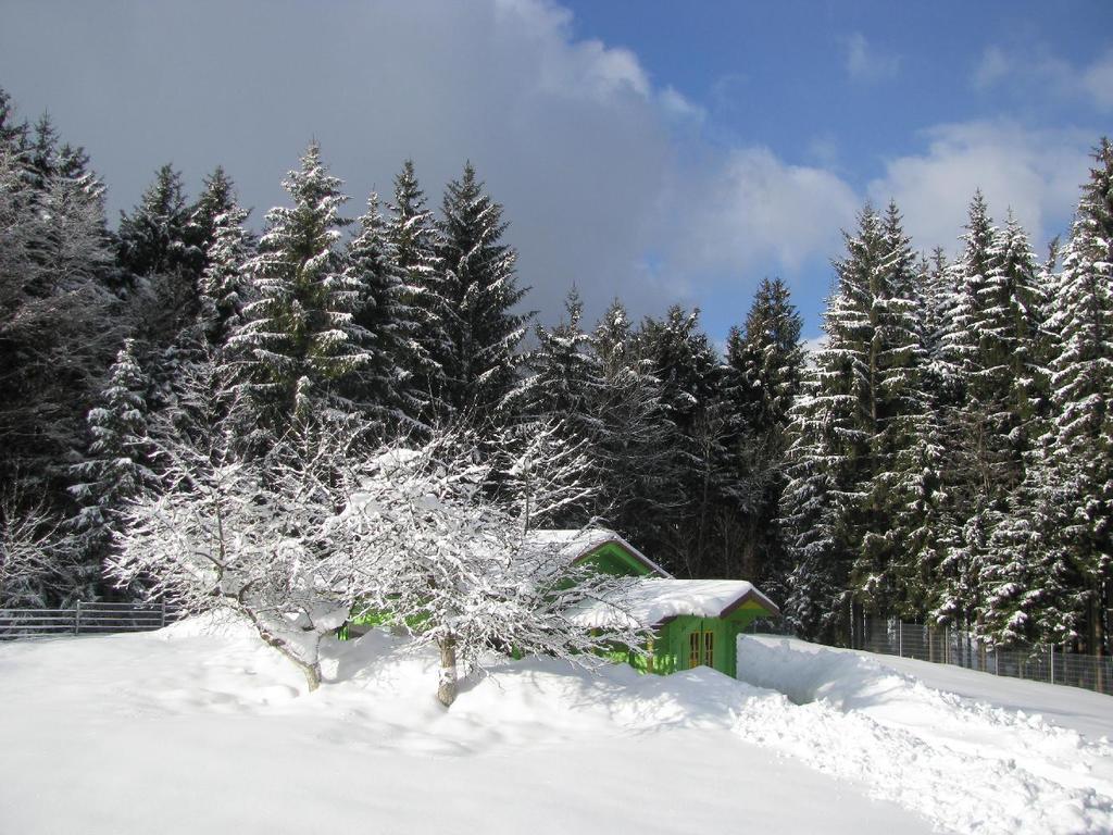 Ferienwohnung Klausgupf Neureichenau Exterior foto